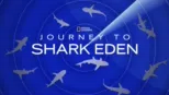 thumbnail - Journey to Shark Eden