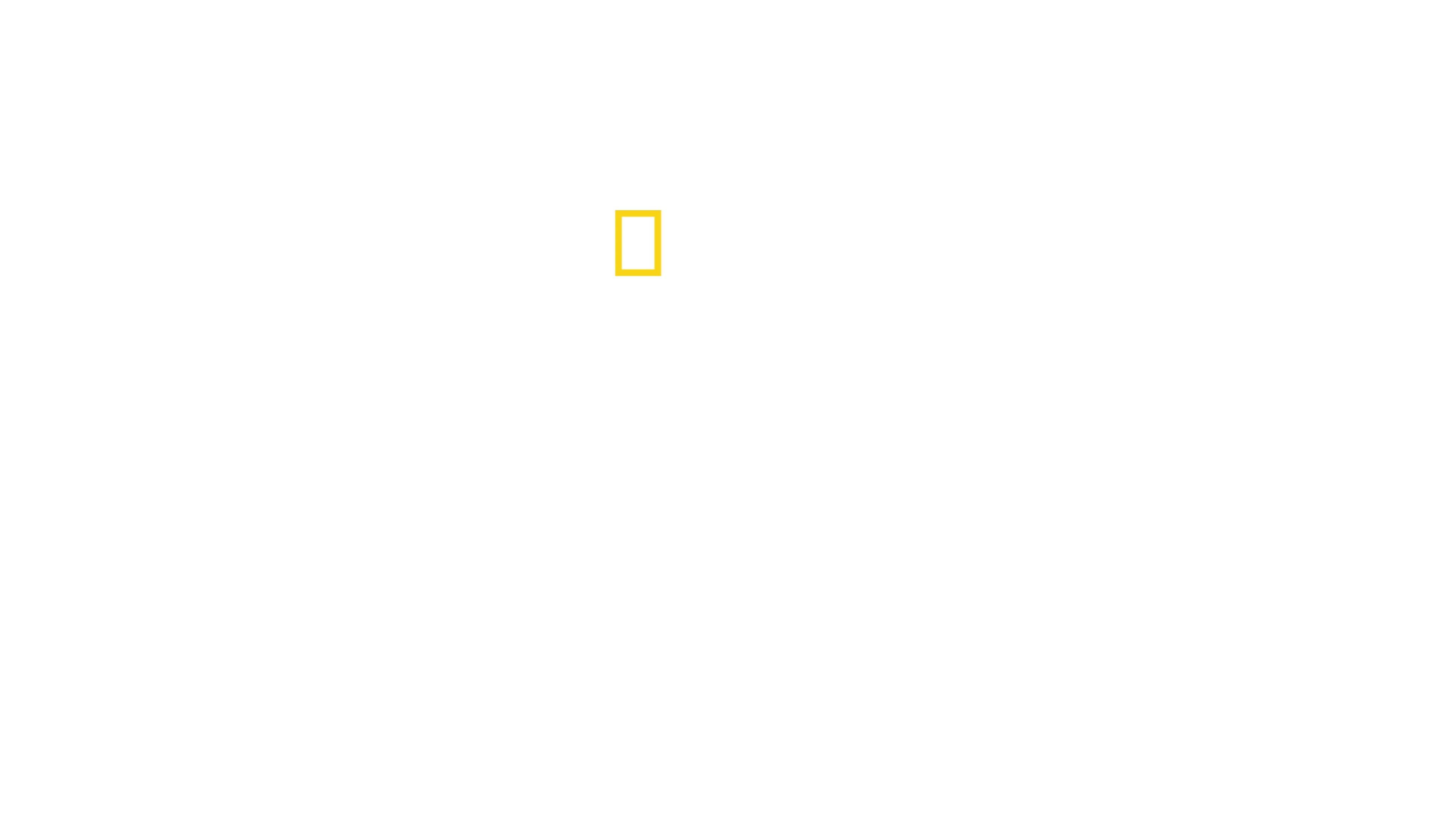 Köpekbalığı Cennetine Yolculuk