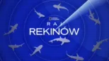 thumbnail - Raj rekinów