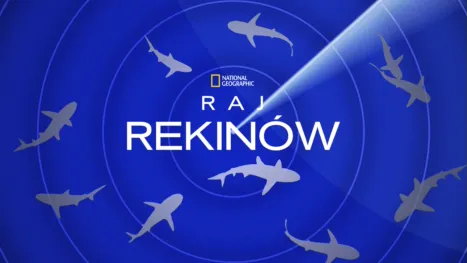 thumbnail - Raj rekinów