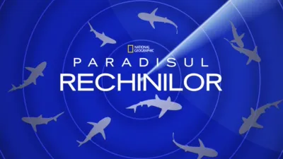 Paradisul rechinilor