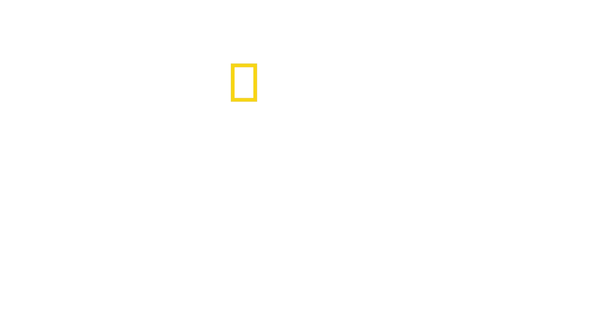 Antártida: El continente blanco