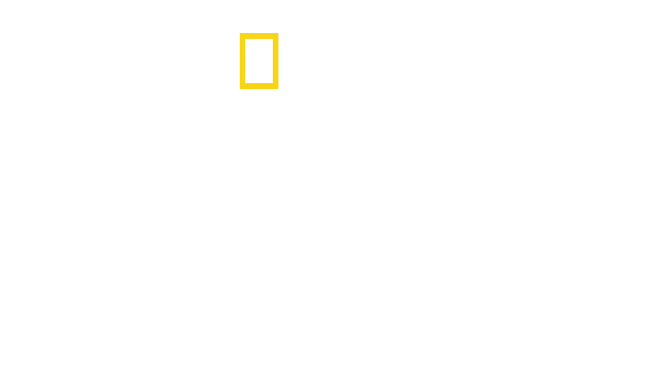 Antártida: A Vida no Limite