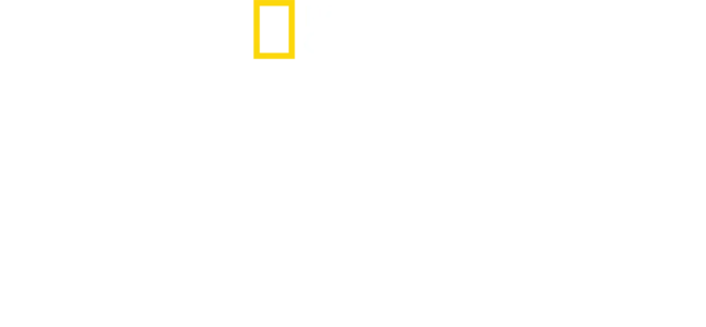 Antártida: A Vida no Limite