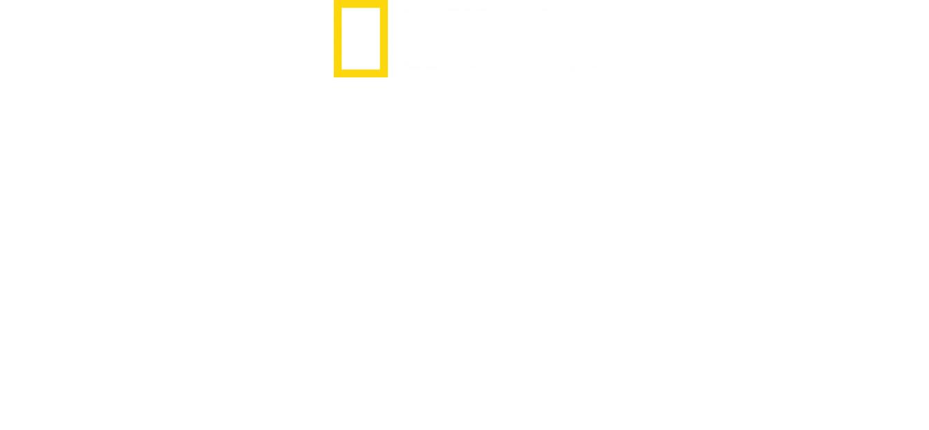 Antártida: A Vida no Limite