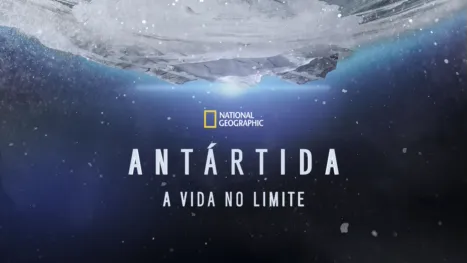 thumbnail - Antártida: A Vida no Limite