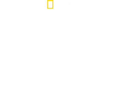 Free Solo - Mászókötél nélkül