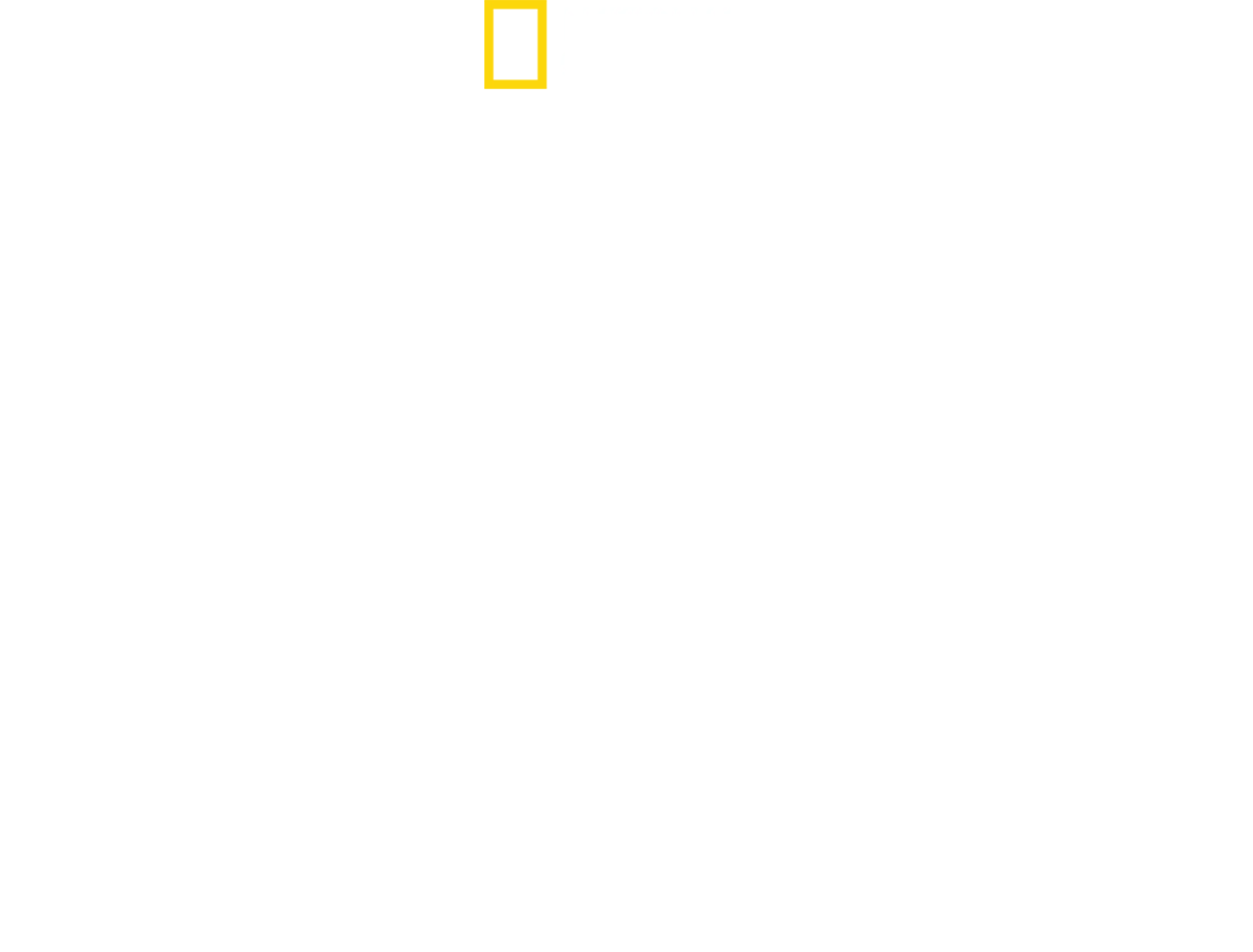 Free Solo - Mászókötél nélkül