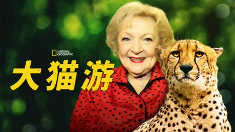 thumbnail - 大猫游