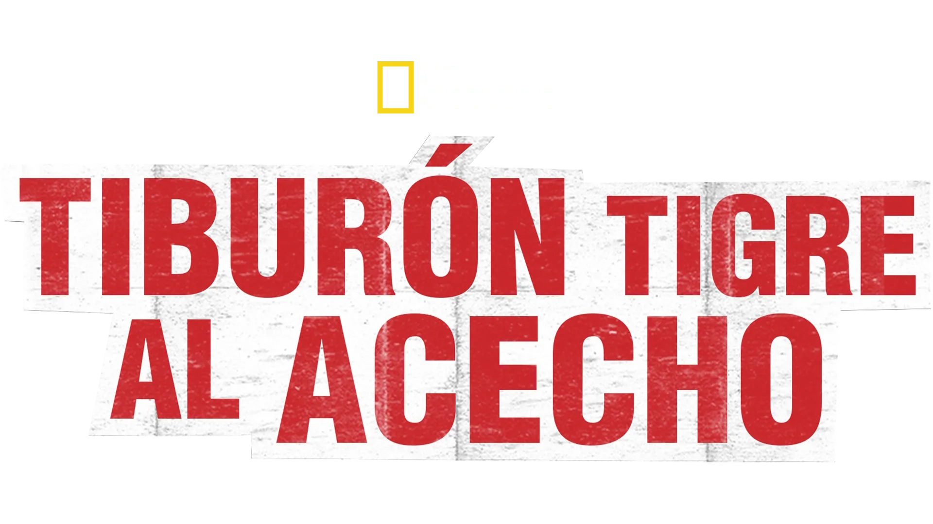 Tiburón tigre al acecho