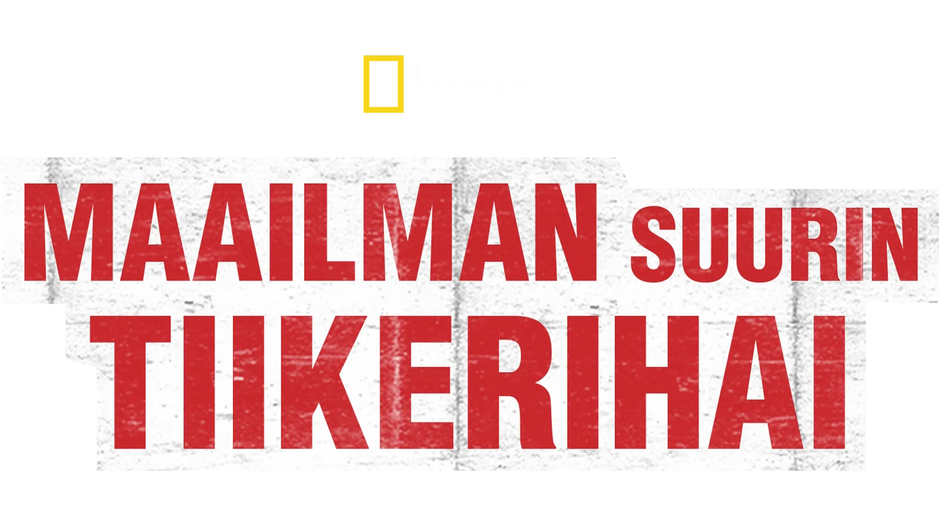 Maailman suurin tiikerihai