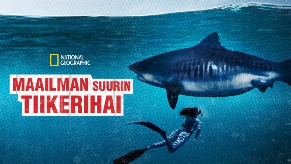 thumbnail - Maailman suurin tiikerihai