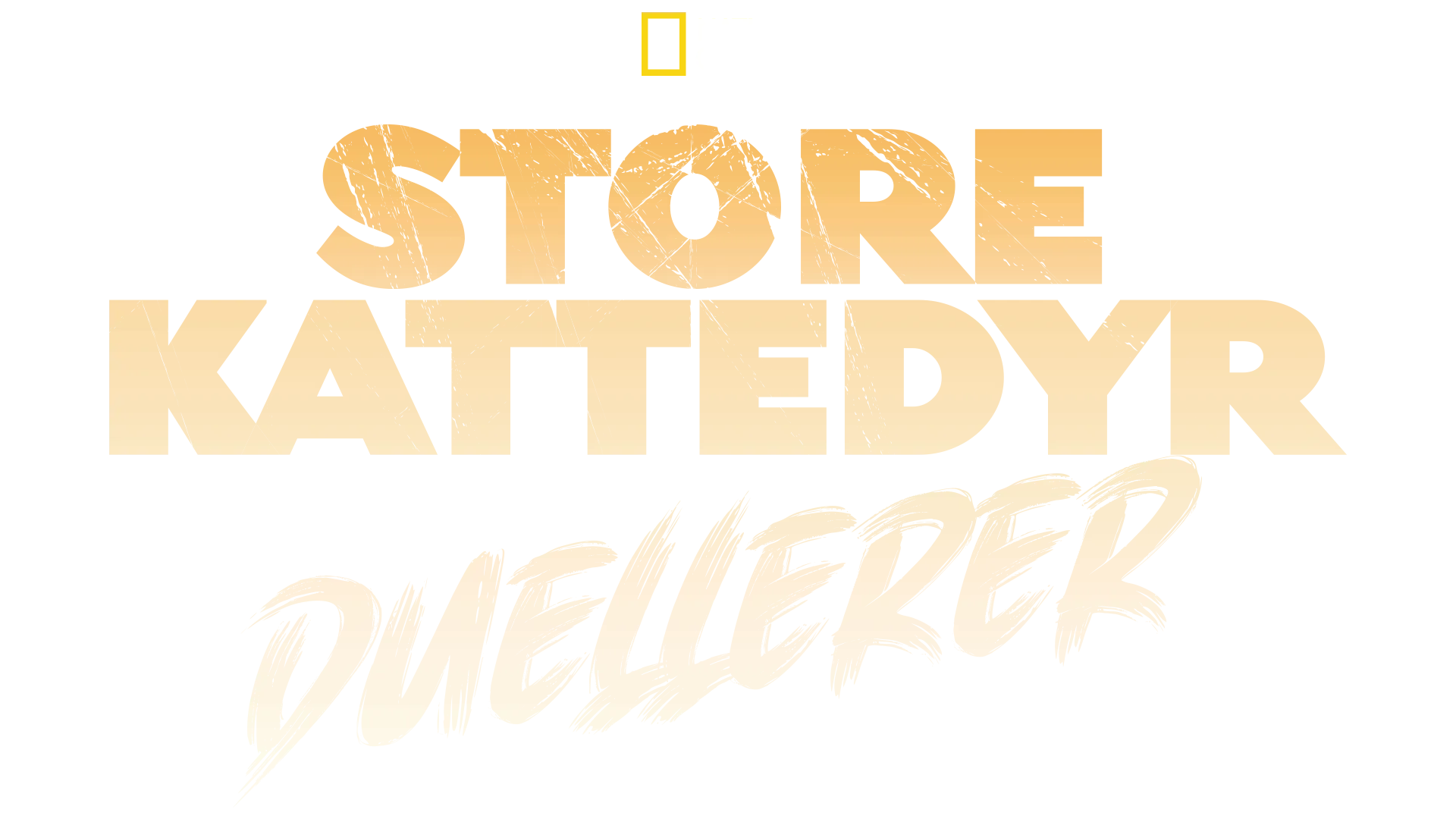 Store kattedyr duellerer