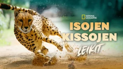 Isojen kissojen leikit