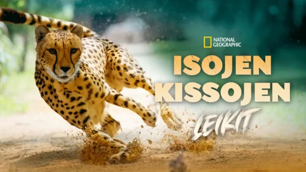 thumbnail - Isojen kissojen leikit