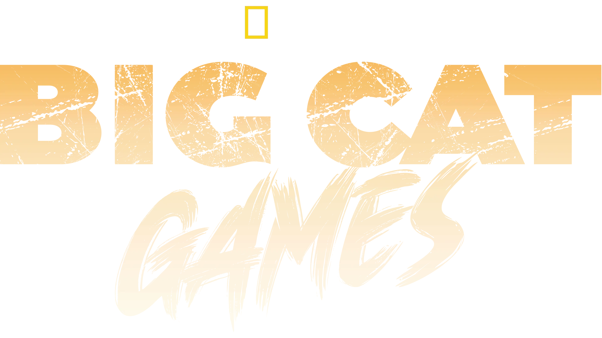 Big Cat Games