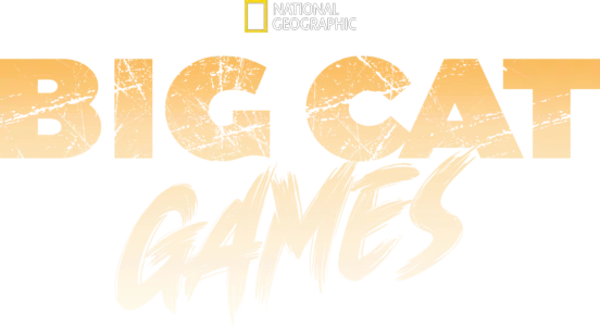 Big Cat Games
