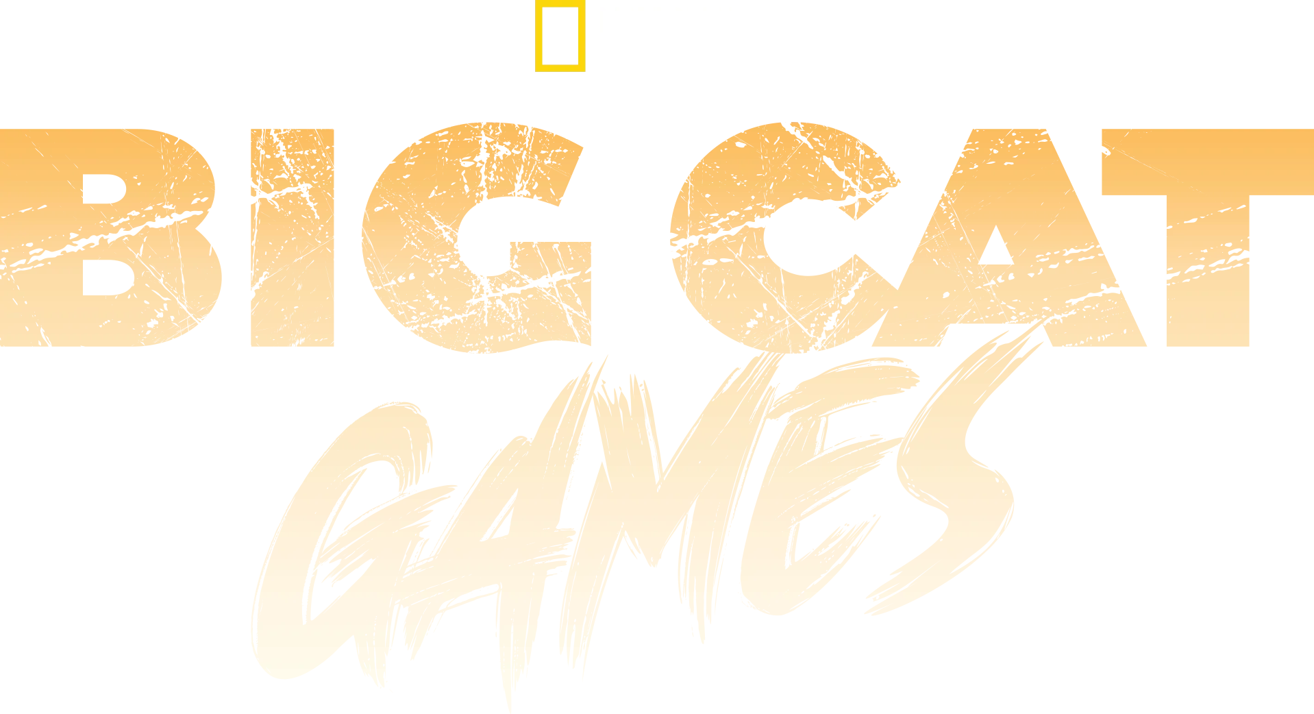 Big Cat Games