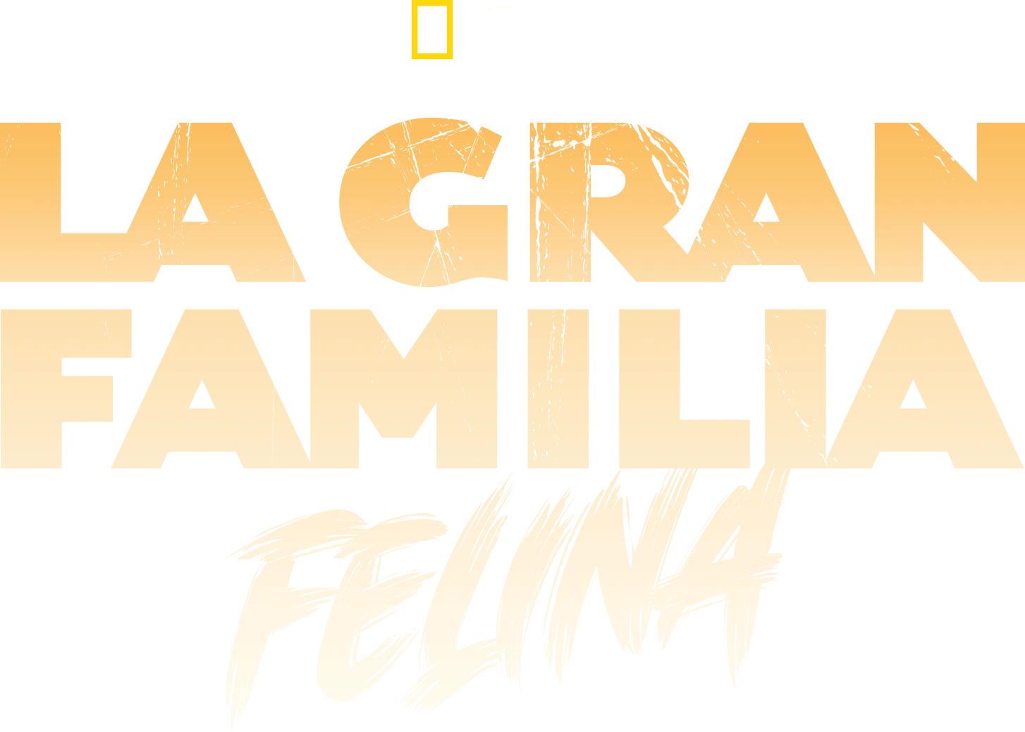 Los Grandes Juegos Felinos