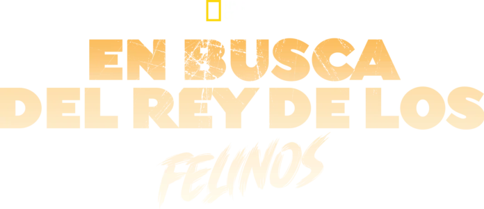 En busca del rey de los felinos