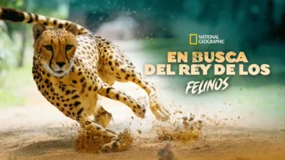 thumbnail - En busca del rey de los felinos