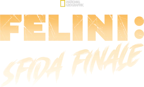 Felini: Sfida Finale