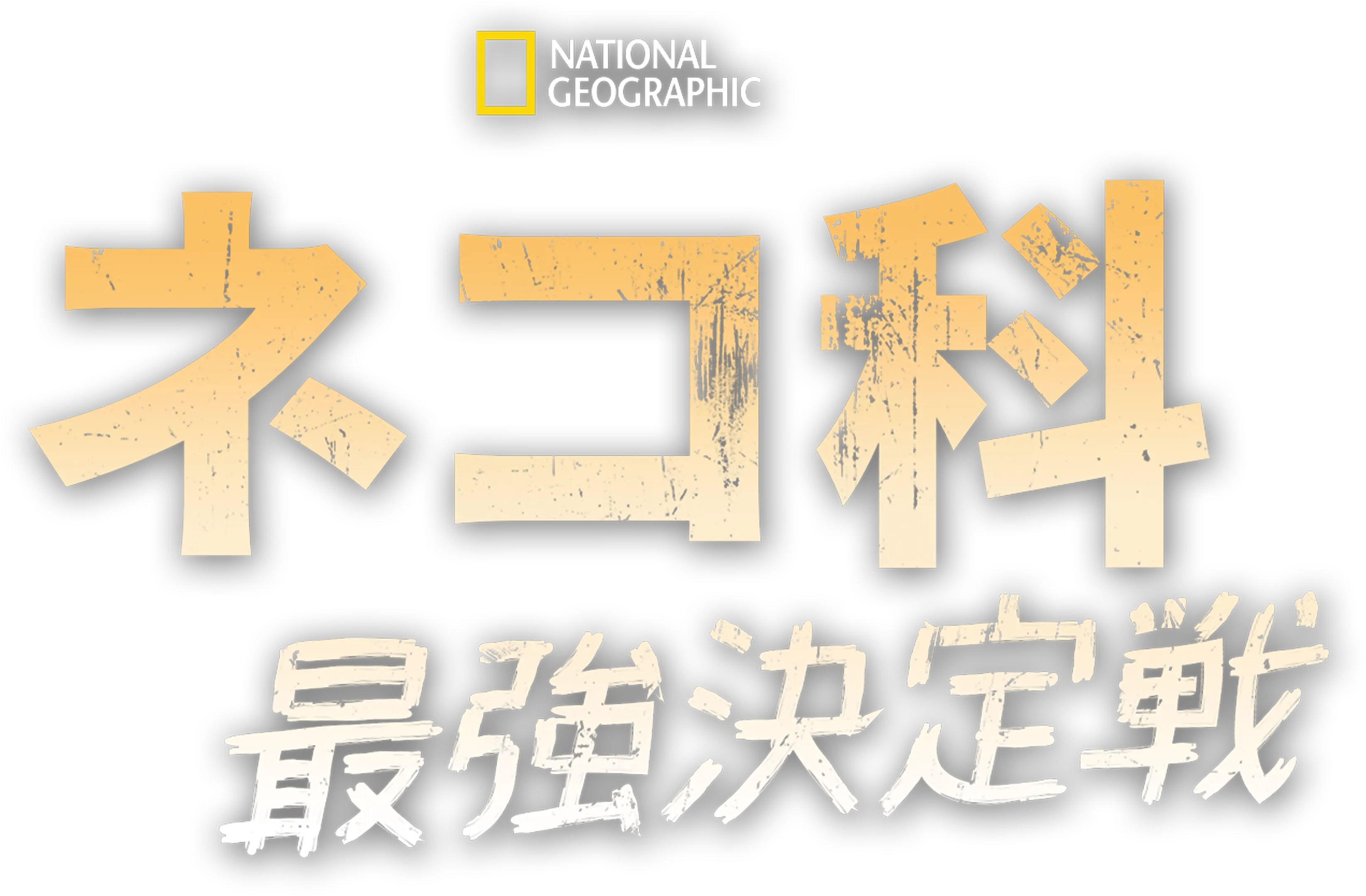 ネコ科最強決定戦