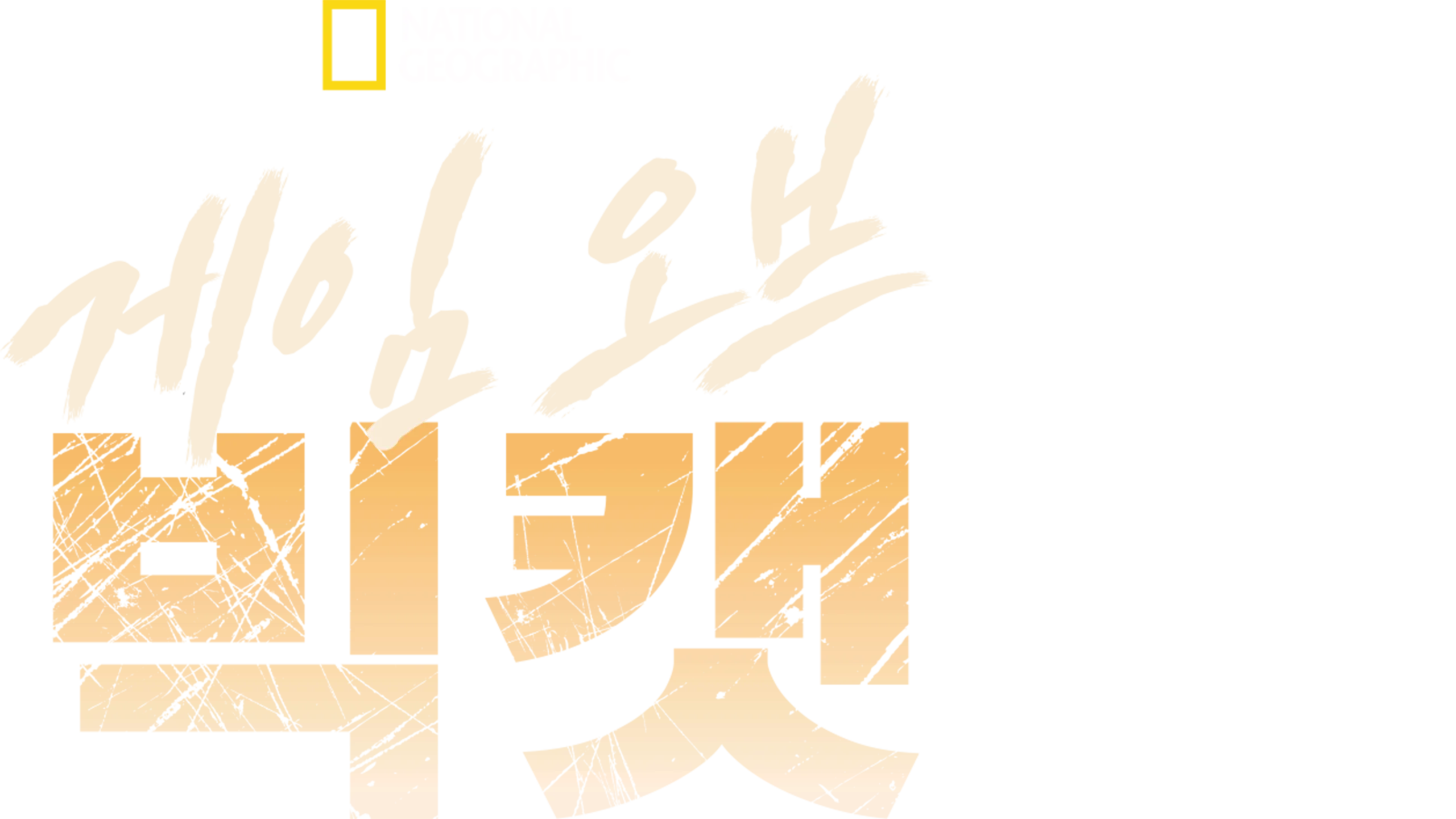 게임 오브 빅캣