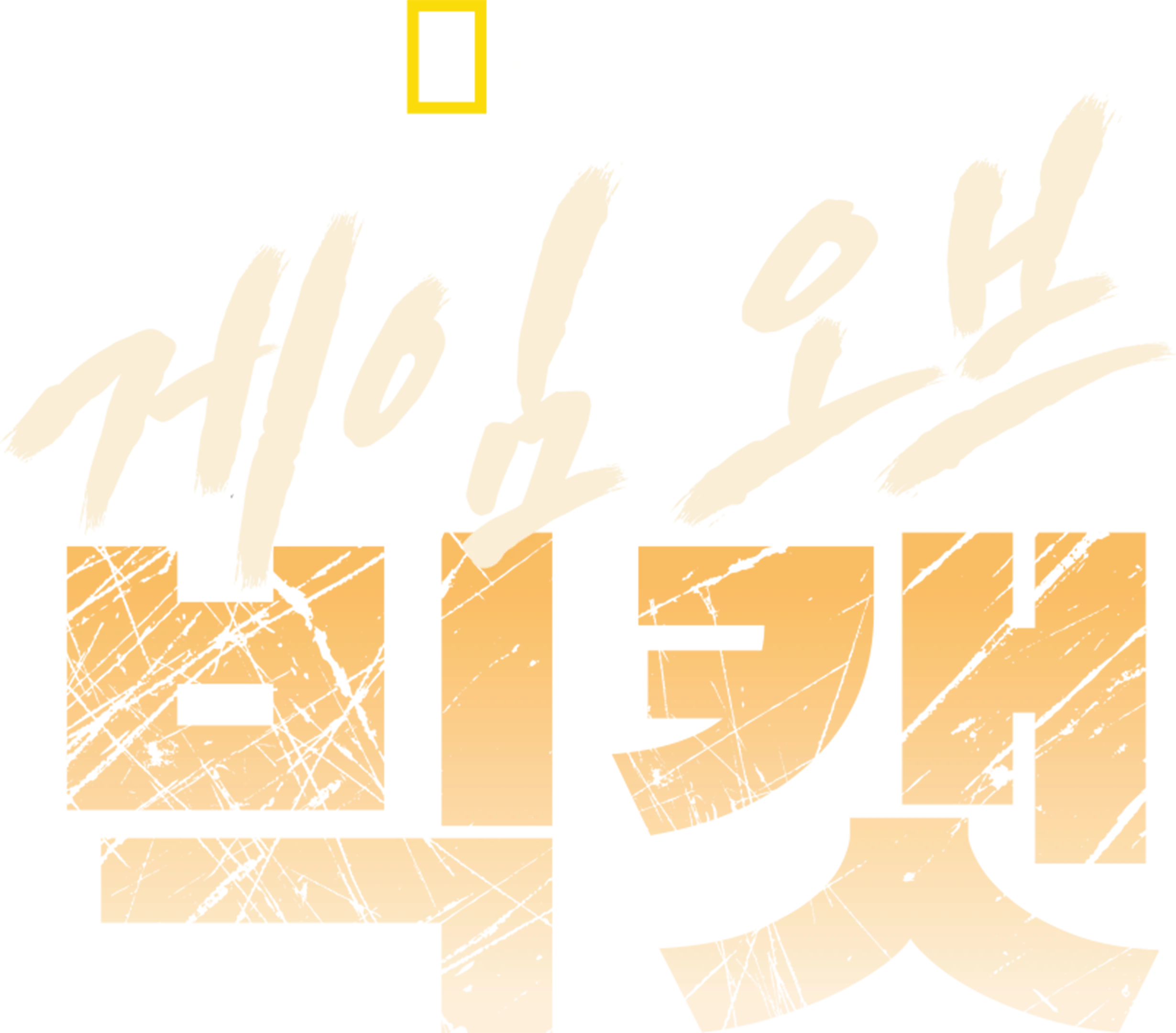 게임 오브 빅캣