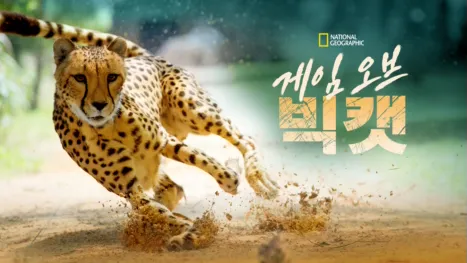 thumbnail - 게임 오브 빅캣