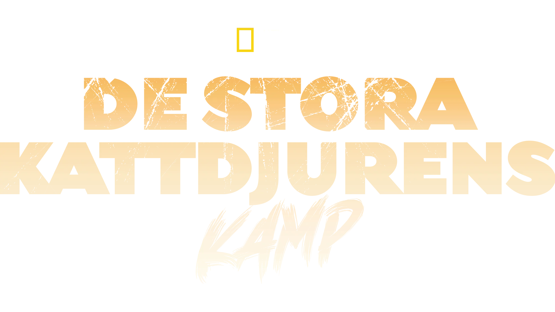 De stora kattdjurens kamp