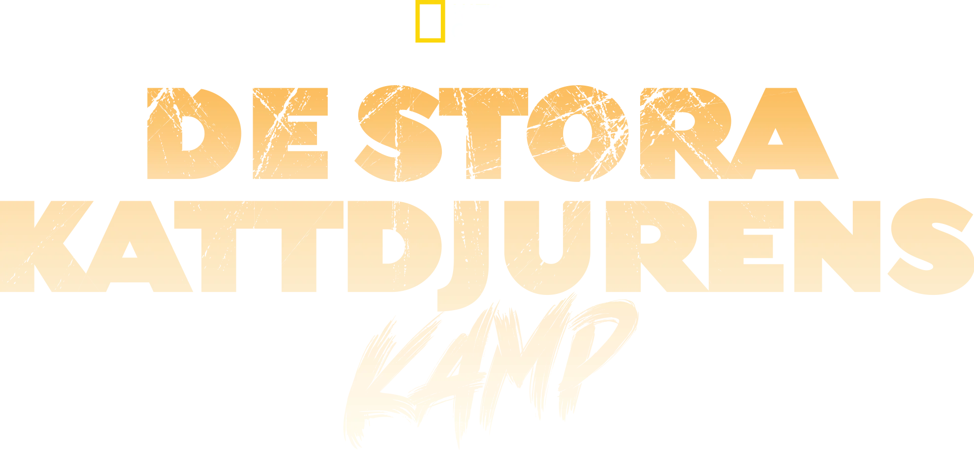De stora kattdjurens kamp