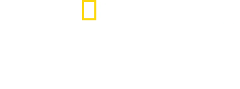 鲨鱼袭击幸存者：佩吉·温特