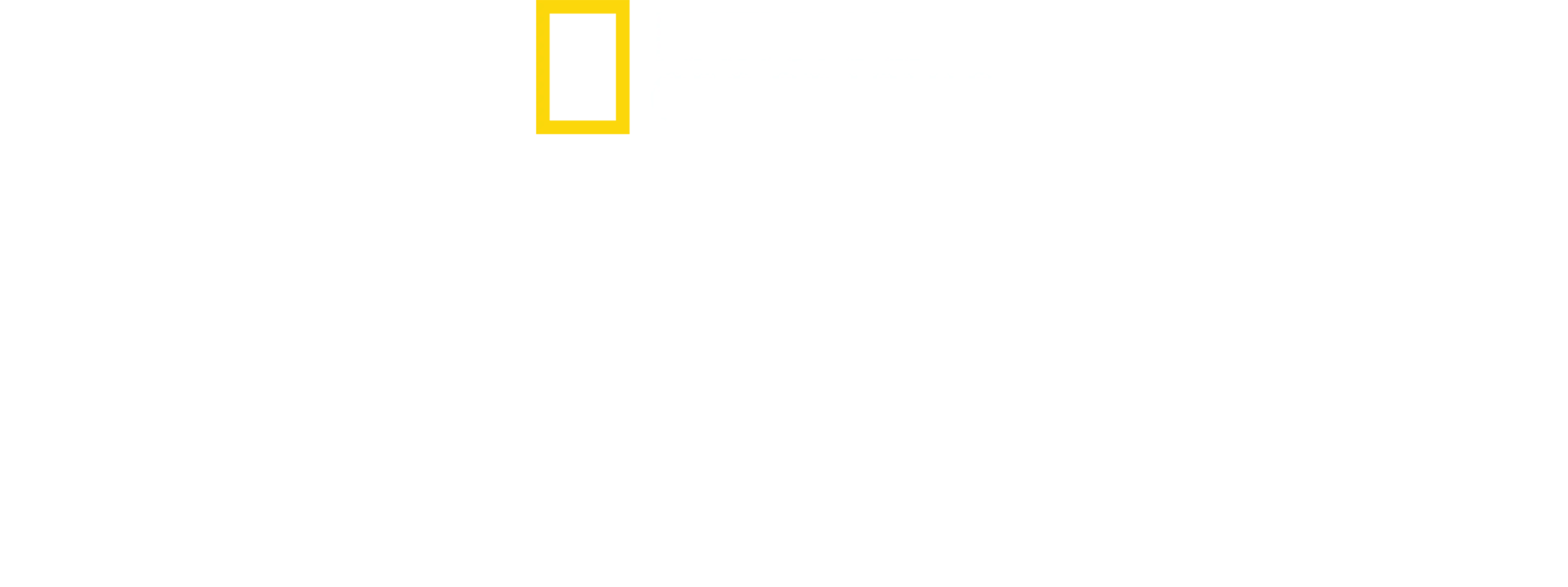 鲨鱼袭击幸存者：佩吉·温特