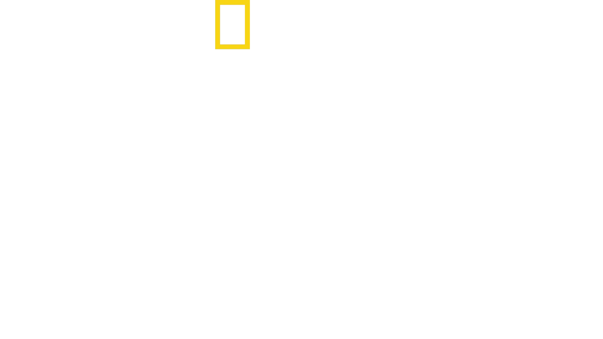 Squali: la storia di Paige Winter