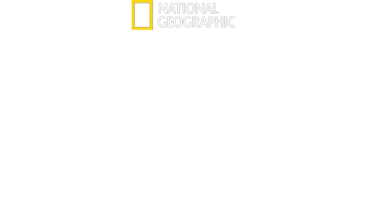 Squali: la storia di Paige Winter