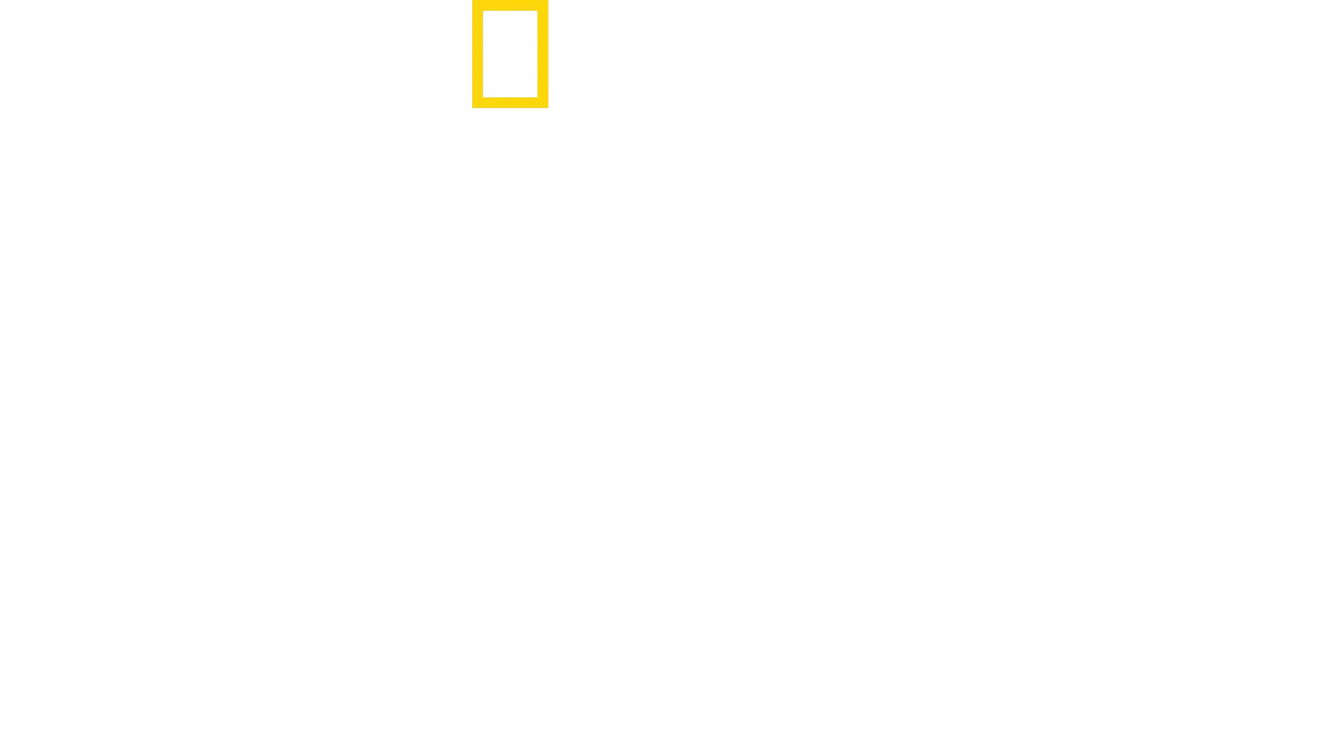 Squali: la storia di Paige Winter
