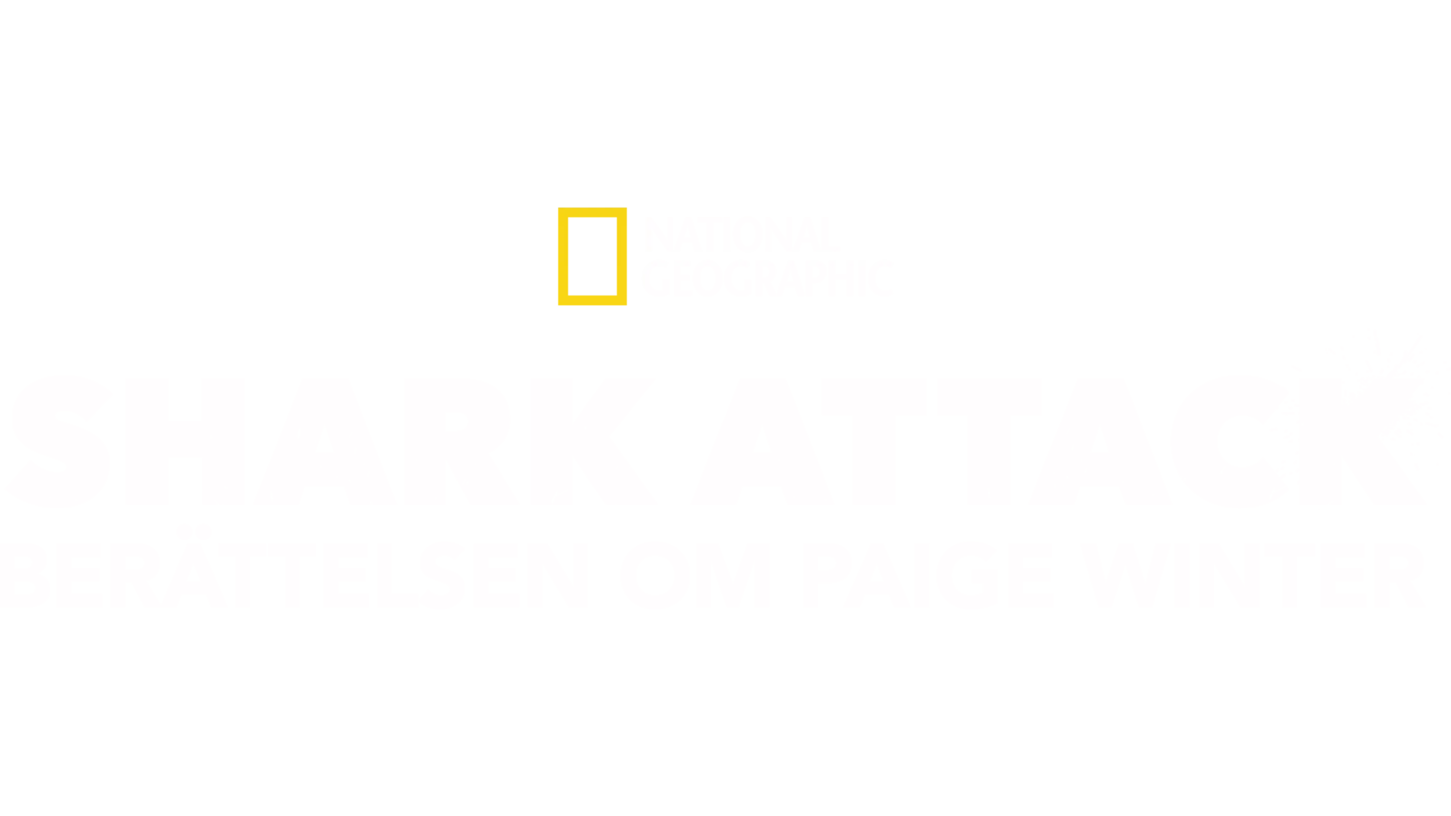 Shark Attack: Berättelsen om Paige Winter