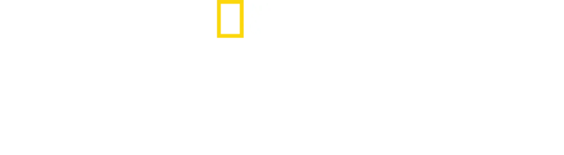 Shark Attack: Berättelsen om Paige Winter