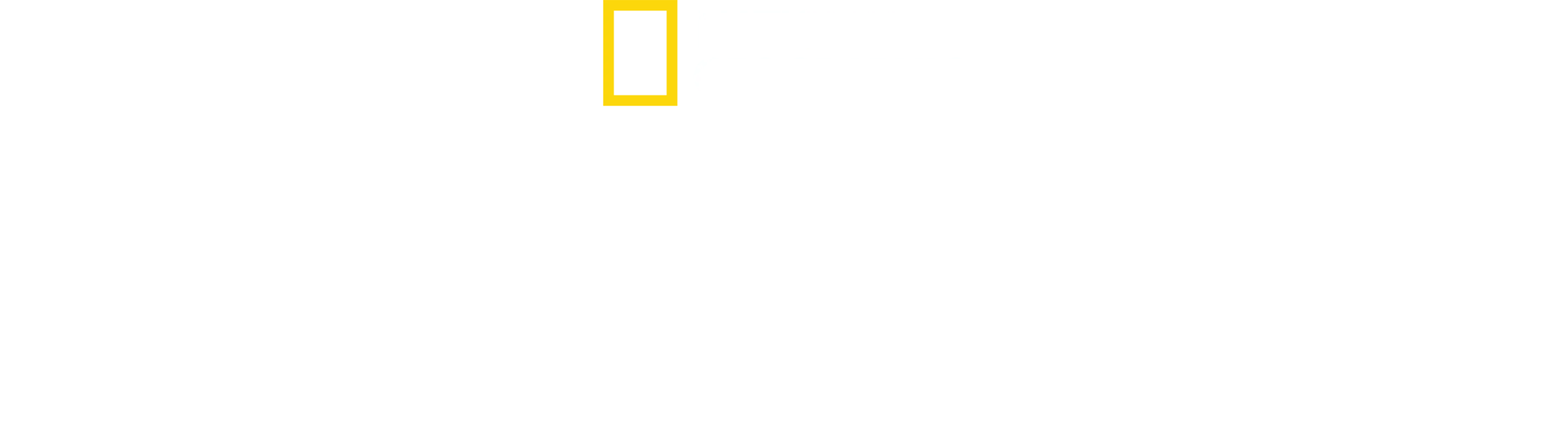 Shark Attack: Berättelsen om Paige Winter
