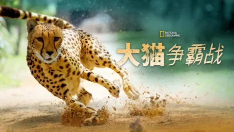 thumbnail - 大猫争霸战