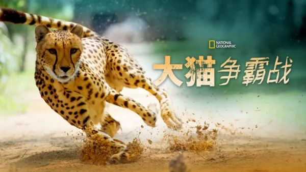 thumbnail - 大猫争霸战