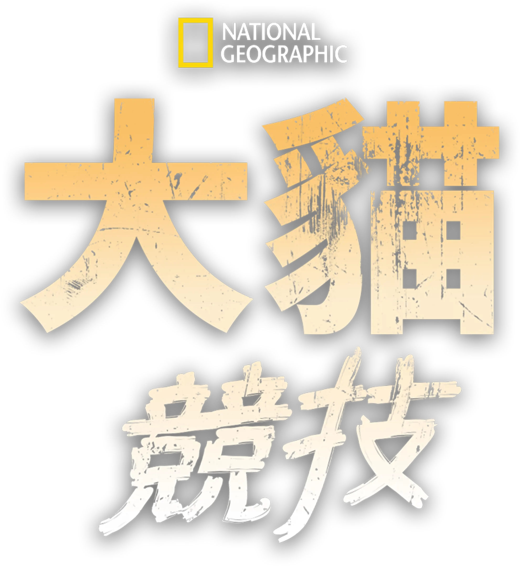 大貓競技