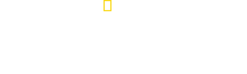 Treleopardene er tilbake