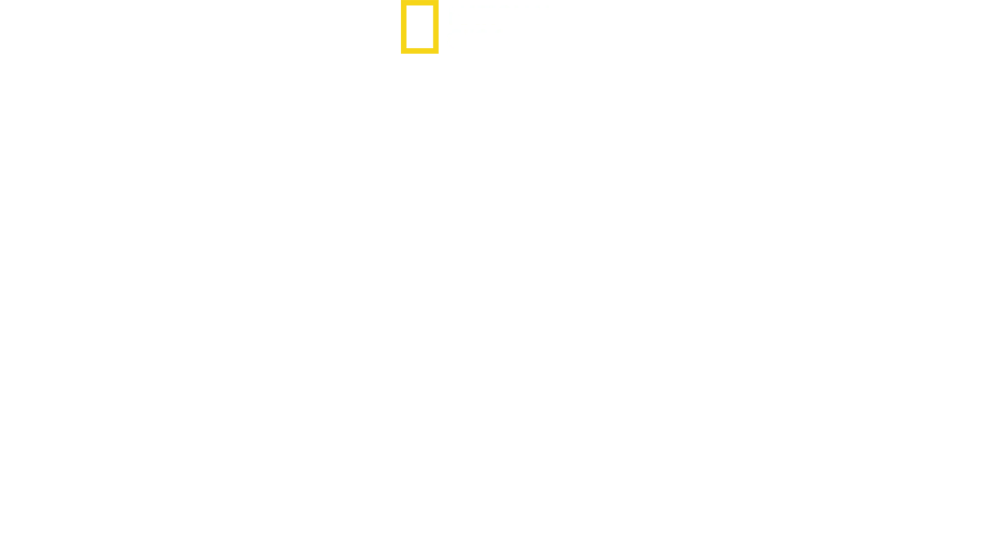 Return of the Clouded Leopards