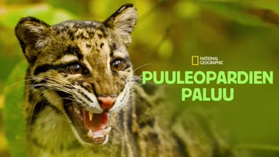 thumbnail - Puuleopardien paluu