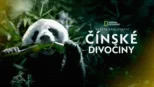 thumbnail - Skrytá království čínské divočiny