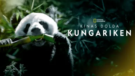 thumbnail - Kinas dolda kungariken