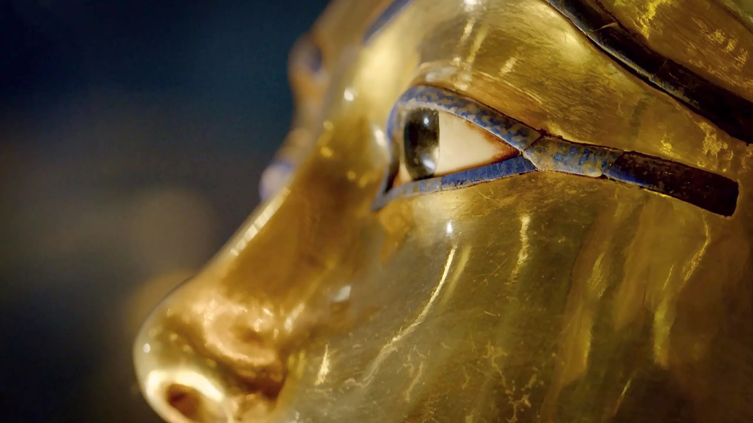 Tut's Treasures: Hidden Secrets