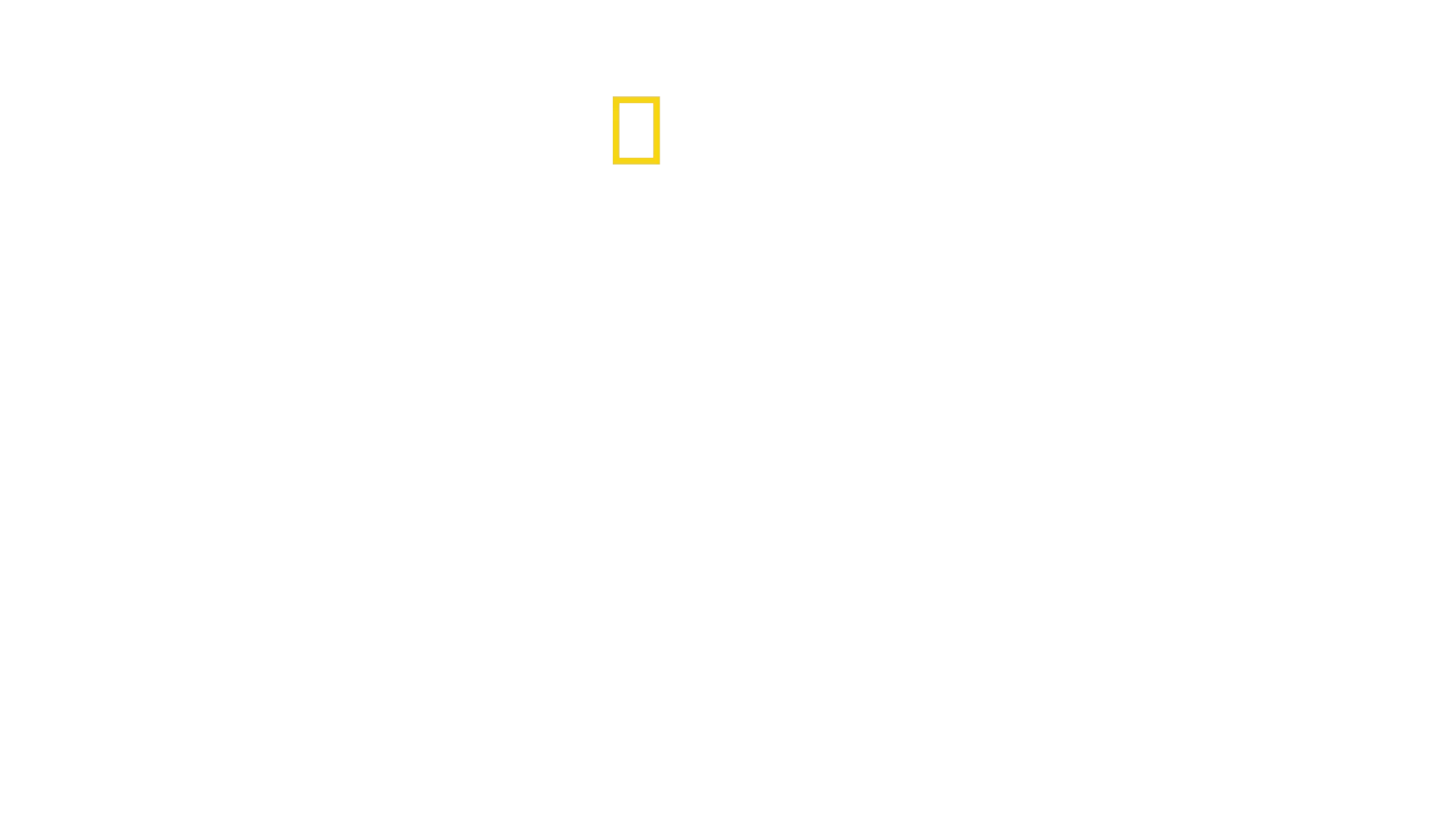 Breaking2: Marathon in 2 Stunden